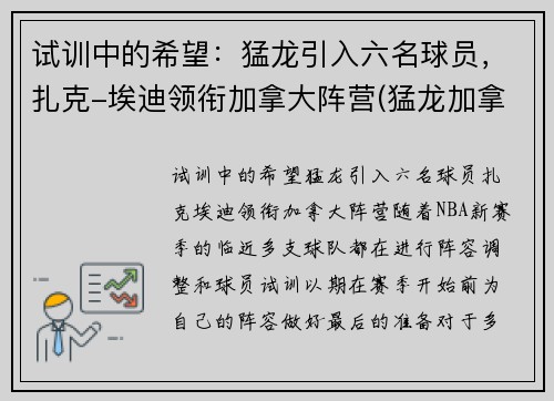 试训中的希望：猛龙引入六名球员，扎克-埃迪领衔加拿大阵营(猛龙加拿大球队为什么能打nba)